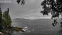 ./images/koeye/fitz-hugh/20250605/fitz-hugh20250605_180014M.jpg