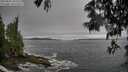 ./images/koeye/fitz-hugh/20250605/fitz-hugh20250605_180510M.jpg