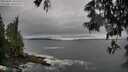 ./images/koeye/fitz-hugh/20250605/fitz-hugh20250605_181511M.jpg