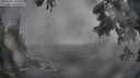 ./images/koeye/fitz-hugh/20250605/fitz-hugh20250605_200509M.jpg