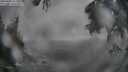 ./images/koeye/fitz-hugh/20250605/fitz-hugh20250605_201508M.jpg