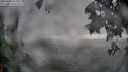 ./images/koeye/fitz-hugh/20250605/fitz-hugh20250605_204508M.jpg