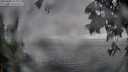 ./images/koeye/fitz-hugh/20250605/fitz-hugh20250605_205009M.jpg