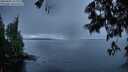 ./images/koeye/fitz-hugh/20250605/fitz-hugh20250605_215507M.jpg