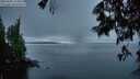 ./images/koeye/fitz-hugh/20250605/fitz-hugh20250605_220009M.jpg