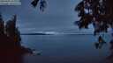 ./images/koeye/fitz-hugh/20250605/fitz-hugh20250605_222009M.jpg