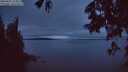 ./images/koeye/fitz-hugh/20250605/fitz-hugh20250605_223008M.jpg