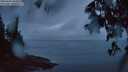 ./images/koeye/fitz-hugh/20250606/fitz-hugh20250606_045009M.jpg
