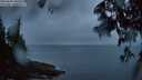 ./images/koeye/fitz-hugh/20250606/fitz-hugh20250606_045509M.jpg