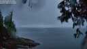 ./images/koeye/fitz-hugh/20250606/fitz-hugh20250606_050008M.jpg