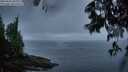 ./images/koeye/fitz-hugh/20250606/fitz-hugh20250606_050508M.jpg