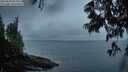 ./images/koeye/fitz-hugh/20250606/fitz-hugh20250606_051009M.jpg