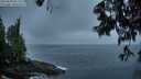 ./images/koeye/fitz-hugh/20250606/fitz-hugh20250606_051509M.jpg