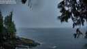 ./images/koeye/fitz-hugh/20250606/fitz-hugh20250606_052008M.jpg