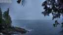 ./images/koeye/fitz-hugh/20250606/fitz-hugh20250606_060010M.jpg