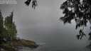./images/koeye/fitz-hugh/20250606/fitz-hugh20250606_064010M.jpg