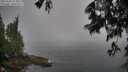 ./images/koeye/fitz-hugh/20250606/fitz-hugh20250606_073009M.jpg