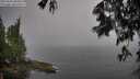 ./images/koeye/fitz-hugh/20250606/fitz-hugh20250606_080012M.jpg