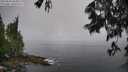 ./images/koeye/fitz-hugh/20250606/fitz-hugh20250606_084011M.jpg
