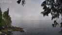 ./images/koeye/fitz-hugh/20250606/fitz-hugh20250606_085010M.jpg