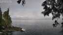 ./images/koeye/fitz-hugh/20250606/fitz-hugh20250606_092010M.jpg