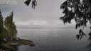 ./images/koeye/fitz-hugh/20250606/fitz-hugh20250606_092510M.jpg