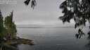 ./images/koeye/fitz-hugh/20250606/fitz-hugh20250606_093011M.jpg