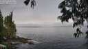 ./images/koeye/fitz-hugh/20250606/fitz-hugh20250606_093509M.jpg