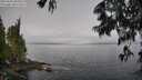 ./images/koeye/fitz-hugh/20250606/fitz-hugh20250606_095010M.jpg
