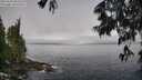 ./images/koeye/fitz-hugh/20250606/fitz-hugh20250606_095510M.jpg