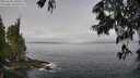 ./images/koeye/fitz-hugh/20250606/fitz-hugh20250606_100508M.jpg