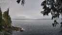 ./images/koeye/fitz-hugh/20250606/fitz-hugh20250606_101511M.jpg