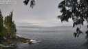 ./images/koeye/fitz-hugh/20250606/fitz-hugh20250606_102009M.jpg