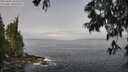 ./images/koeye/fitz-hugh/20250606/fitz-hugh20250606_102510M.jpg