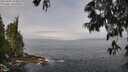 ./images/koeye/fitz-hugh/20250606/fitz-hugh20250606_103010M.jpg