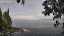 ./images/koeye/fitz-hugh/20250606/fitz-hugh20250606_103508M.jpg