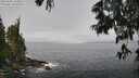 ./images/koeye/fitz-hugh/20250606/fitz-hugh20250606_104010M.jpg