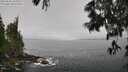 ./images/koeye/fitz-hugh/20250606/fitz-hugh20250606_104509M.jpg
