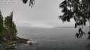 ./images/koeye/fitz-hugh/20250606/fitz-hugh20250606_105011M.jpg