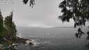 ./images/koeye/fitz-hugh/20250606/fitz-hugh20250606_105509M.jpg