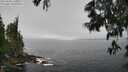 ./images/koeye/fitz-hugh/20250606/fitz-hugh20250606_110009M.jpg