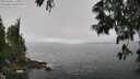 ./images/koeye/fitz-hugh/20250606/fitz-hugh20250606_110509M.jpg