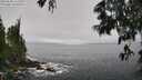 ./images/koeye/fitz-hugh/20250606/fitz-hugh20250606_111511M.jpg
