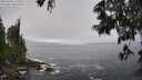 ./images/koeye/fitz-hugh/20250606/fitz-hugh20250606_112510M.jpg