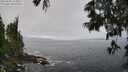 ./images/koeye/fitz-hugh/20250606/fitz-hugh20250606_113509M.jpg