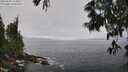 ./images/koeye/fitz-hugh/20250606/fitz-hugh20250606_114009M.jpg