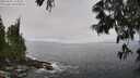 ./images/koeye/fitz-hugh/20250606/fitz-hugh20250606_114511M.jpg