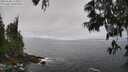 ./images/koeye/fitz-hugh/20250606/fitz-hugh20250606_115010M.jpg