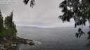 ./images/koeye/fitz-hugh/20250606/fitz-hugh20250606_115510M.jpg