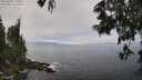 ./images/koeye/fitz-hugh/20250606/fitz-hugh20250606_120012M.jpg